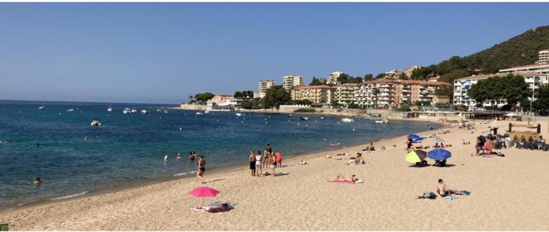 Neuf Ajaccio Casone - Trottel * Ajaccio (Corsica)